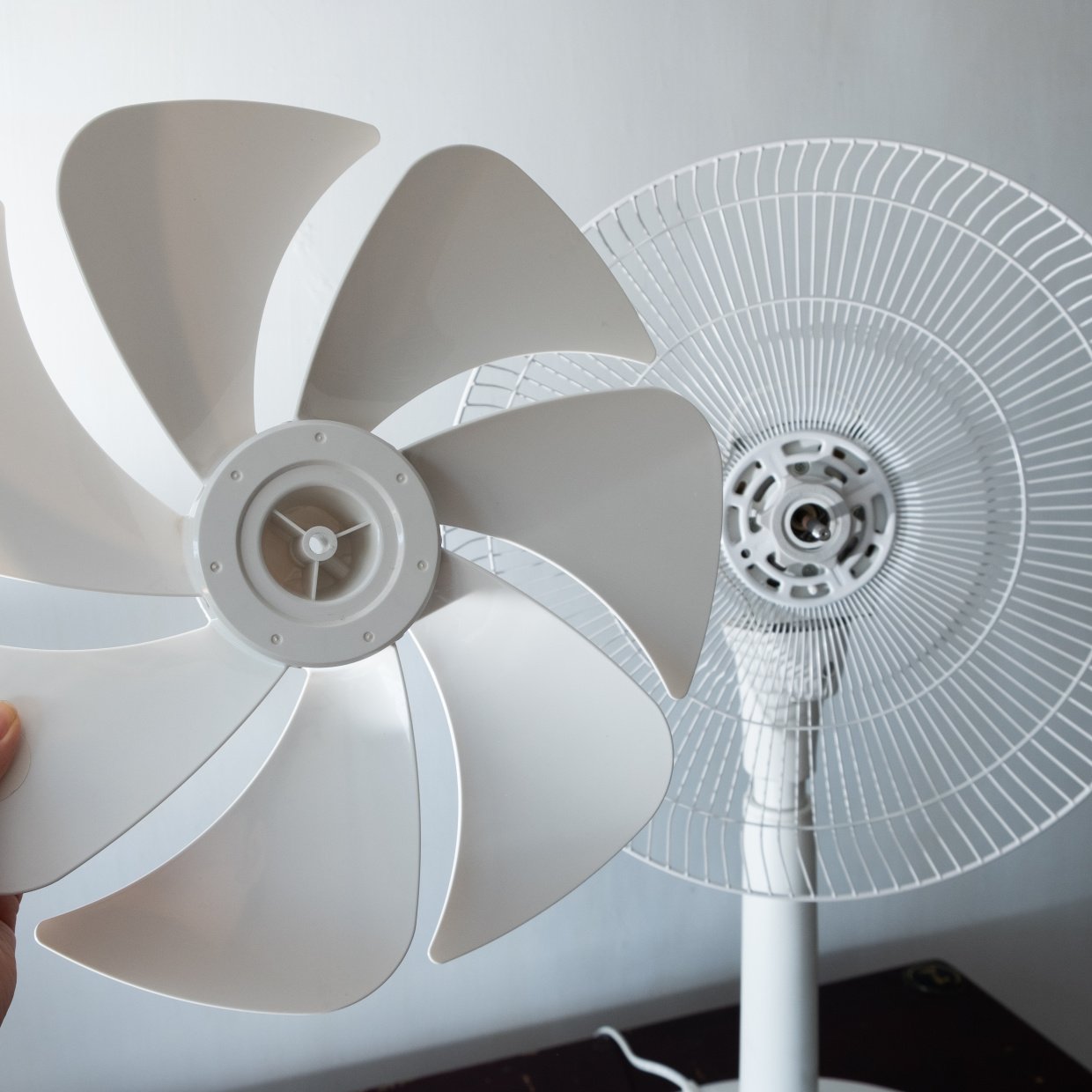  かえって劣化する。「扇風機」のお手入れに“使ってはいけない3つの洗剤”「使うところだった…」 