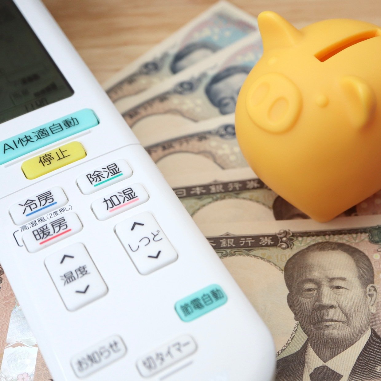  「夏の光熱費」節約しすぎると危険！“健康第一”に過ごす方法【過度なクーラーの節約は逆効果】 