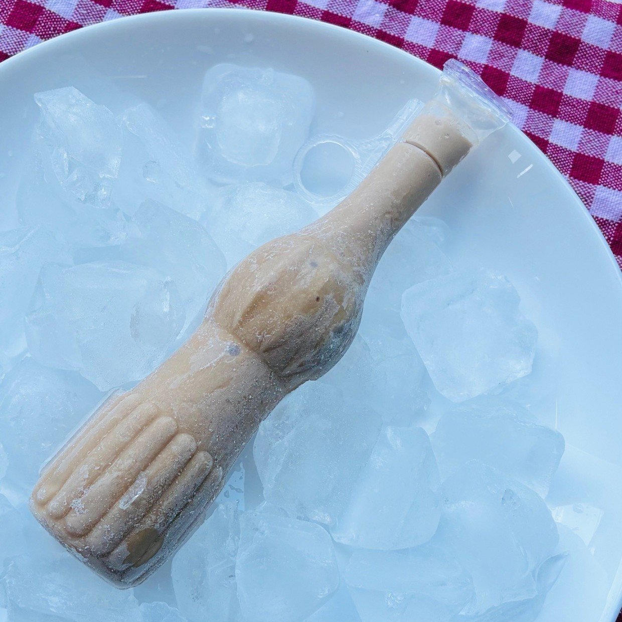  外に持ち歩いても「アイス」が溶けない？夏のお出かけに便利なアイデア「公園で食べられる」 