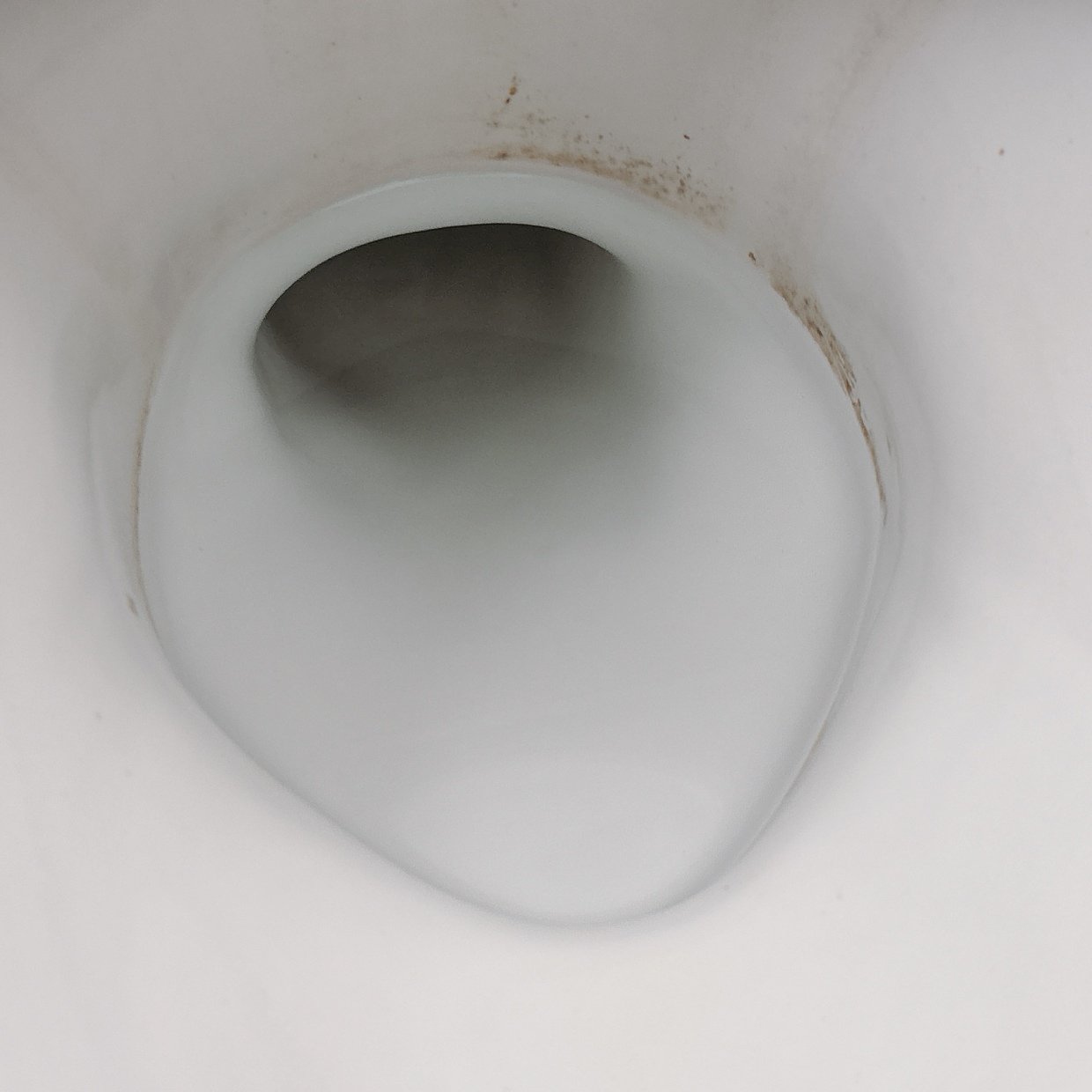  トイレ用洗剤は使わない！「便器」にできる“わっか状の黒ずみ”を一掃する意外な洗剤「白く戻った」 