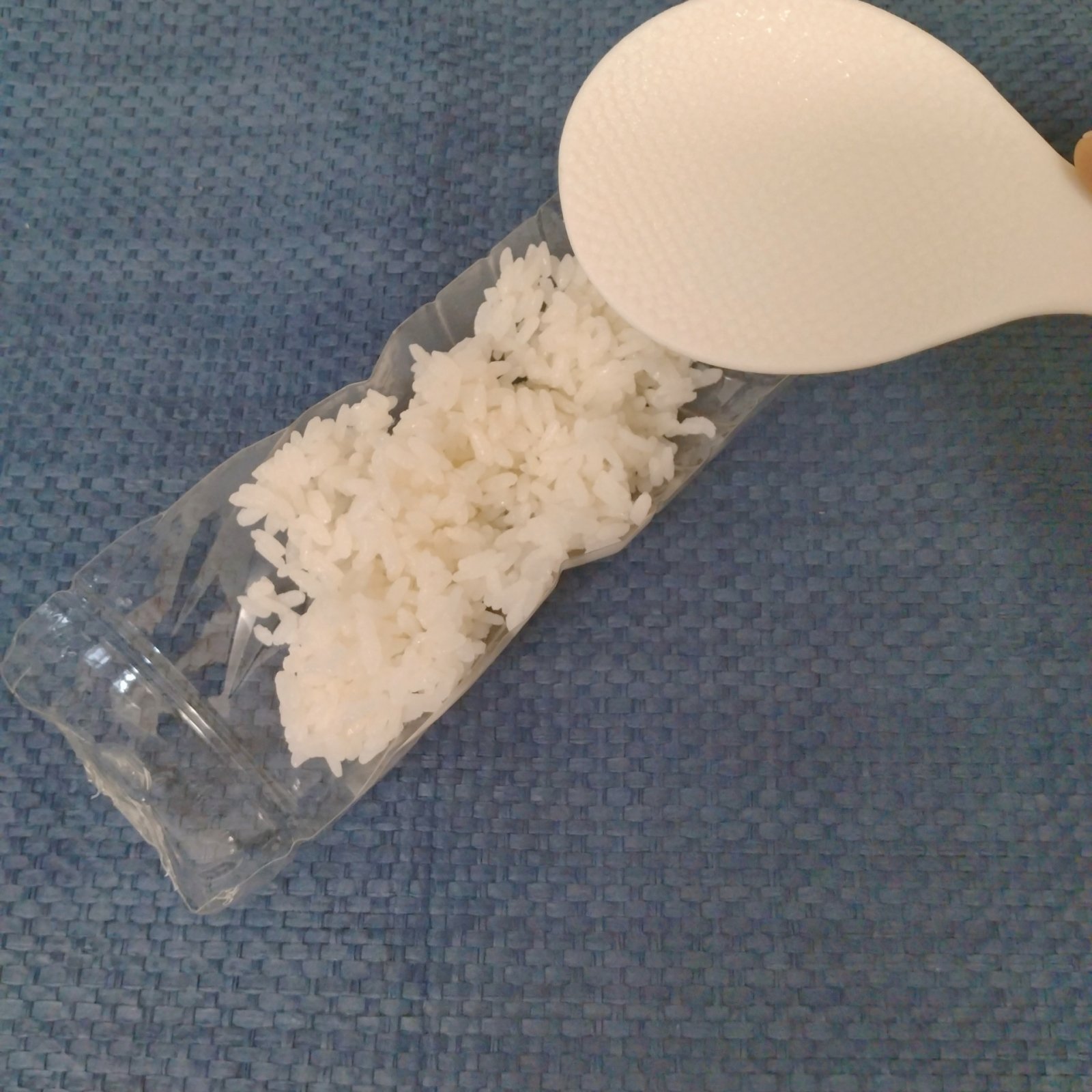 半分に切ったペットボトルを「お皿」の代わりとして活用できる