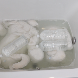 想像以上の皮脂・手垢・ダニが蓄積…。「白いぬいぐるみ」を清潔・真っ白に戻す“つけ置き洗い”テク