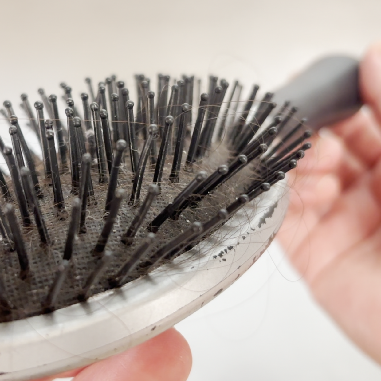  ベタつきやニオイの原因になる汚れがごっそり…。「プラスチック製ヘアブラシ」の簡単お手入れ法 