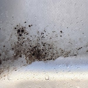 「キッチンシンク」の“黒カビ”をパックしてこするだけ！スポンジを使わない簡単掃除テク