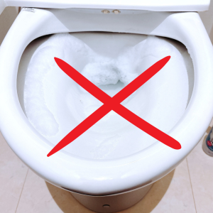 水道代がもったいない！トイレ掃除でやりがちな“NG習慣”3つ「ムダに流してた…」「当てはまる」