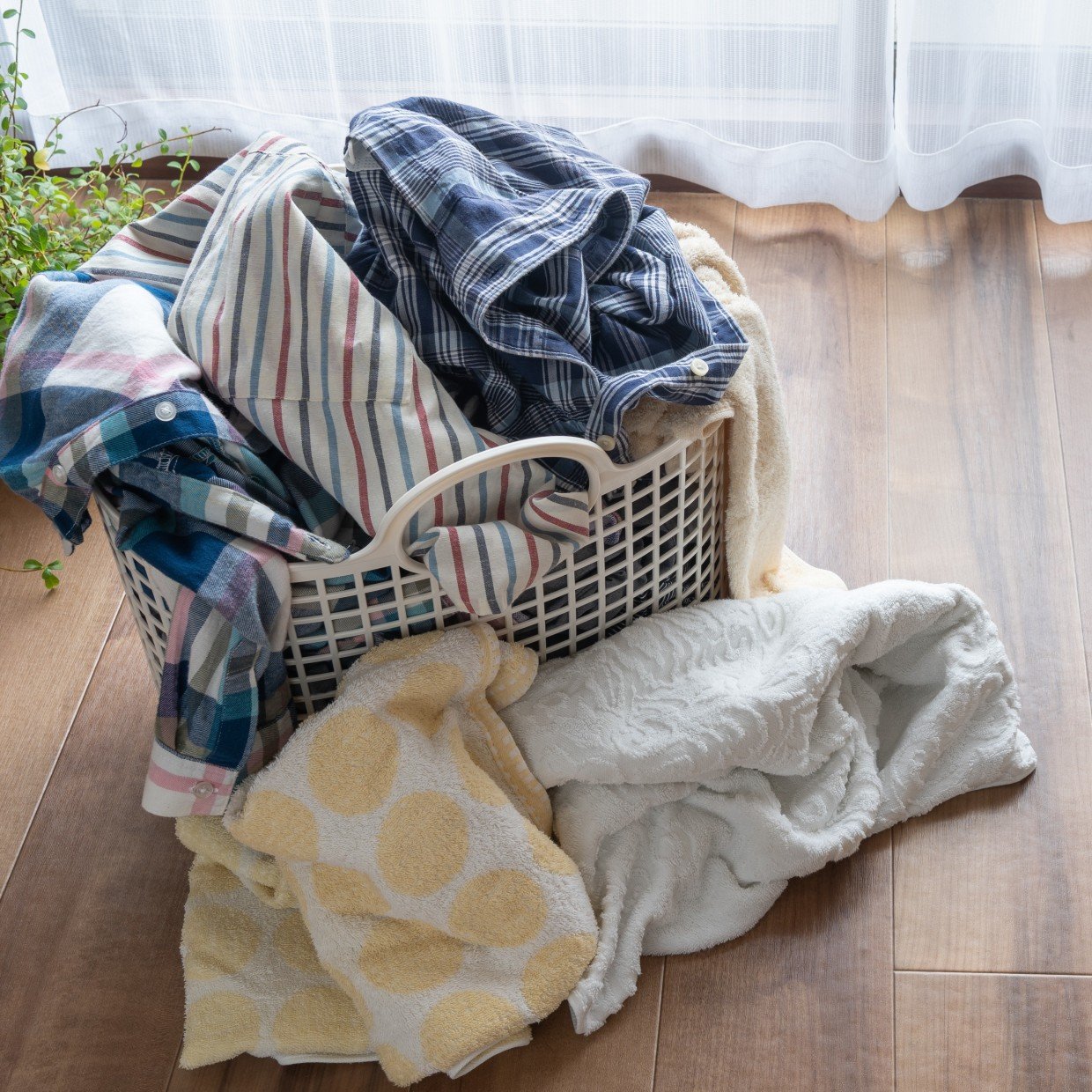  知らなかった…。「洗濯槽」の嫌な臭いの原因と臭いのチェック法「3種類あるんだ」 