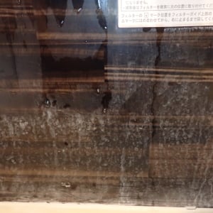 見るだけでテンションが下がる…。「浴室」の“白い石けんカス”汚れをスルスル撃退する掃除テク