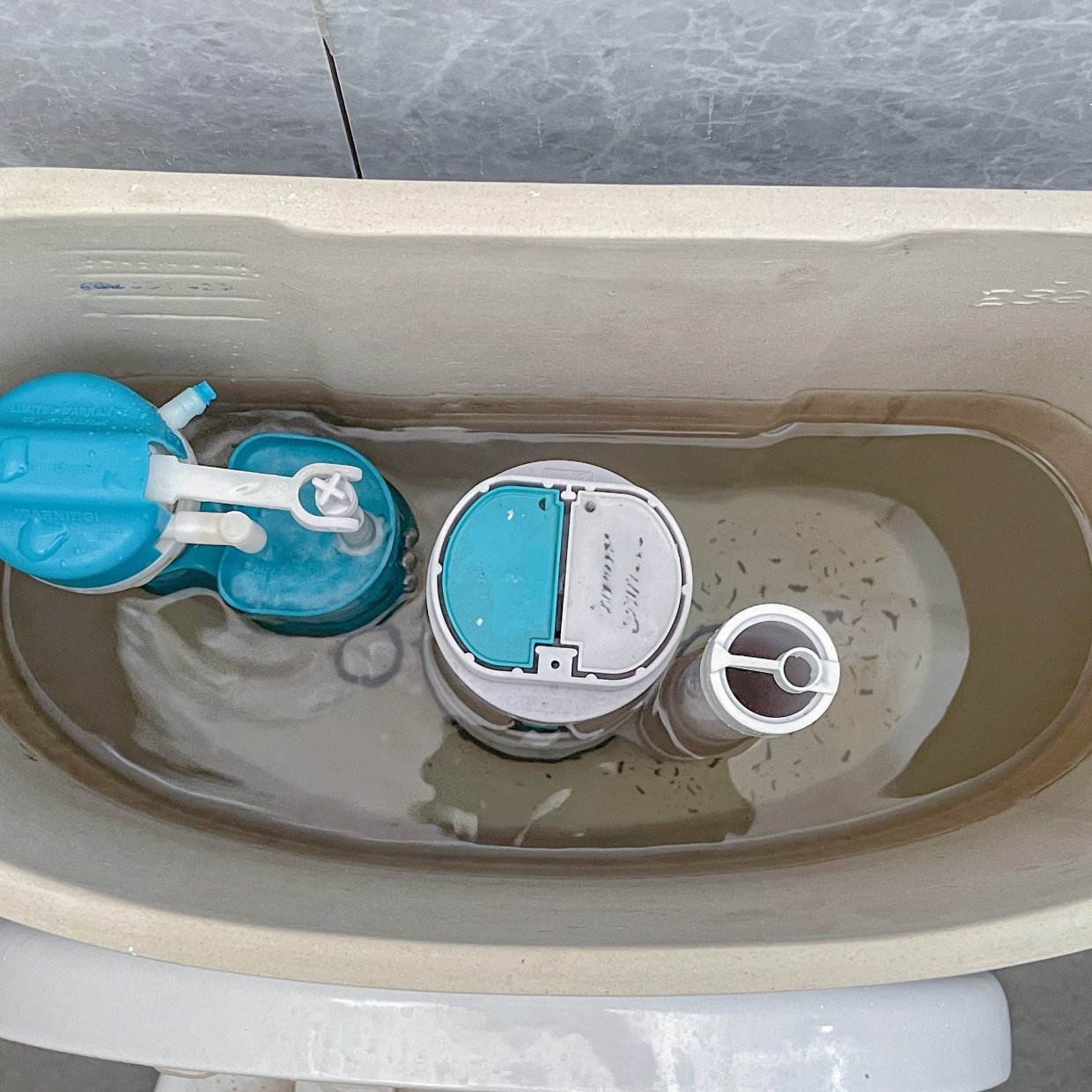  便器だけ掃除はNG！掃除しているのに「トイレが臭い」意外と見落としがちな“6つの場所” 