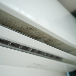 涼しくなった秋にやるべき「エアコン掃除」の“2つの場所”「カビが吹き出すかも…」「暖房を使う前に」