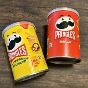 「プリングルズの空き容器」に“毎日使うもの”を入れると…？「マネする」「オリジナルでかわいい！」