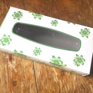 使い終わった「ティッシュの空き箱」にピーマンを入れたら…？「納得」「ちょうどいい」