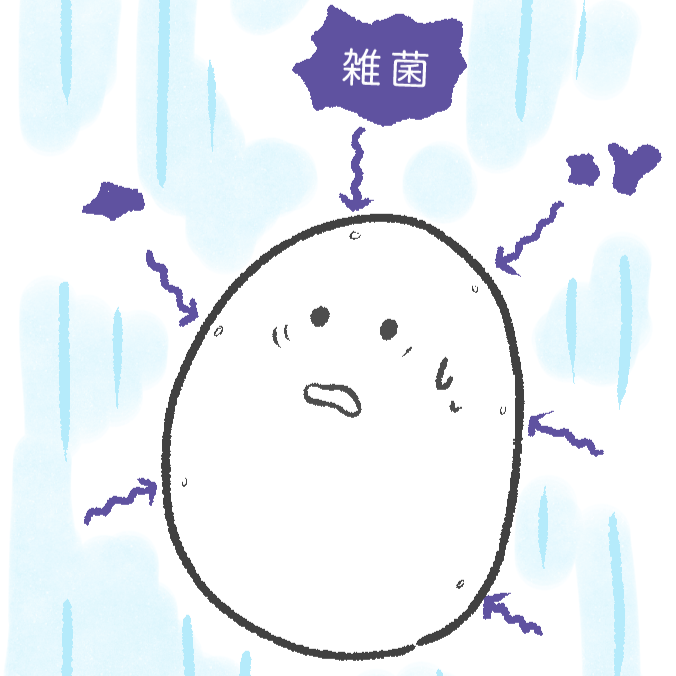  冷蔵庫で「卵」を保存するとき、やってはいけないコト＜冷蔵庫マンション物語＞【漫画 第8話】 