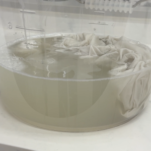 くすんだ“枕カバーやタオル”の「10年ものの黄ばみ・加齢臭」が落ちる“つけ置き洗濯術”「驚きの復活」