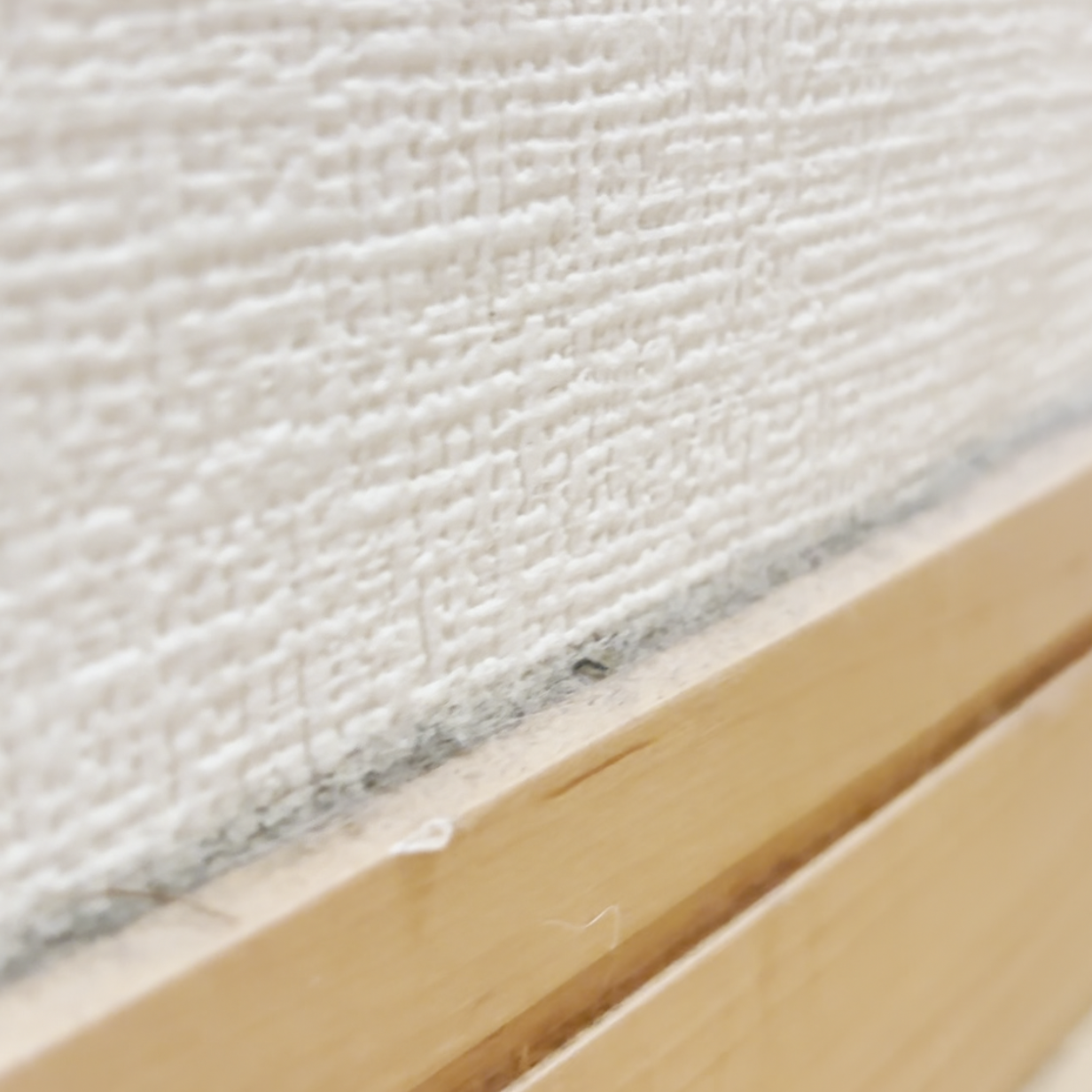  いつも見落としがちな「巾木」がパっと明るくなる“とろとろの掃除アイテム”「くすみが落ちてピカピカ」 