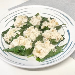 もう焼売の皮は使わない!レンジでできるヘルシー焼売レシピ。皮の代わりに使う緑の食材とは?