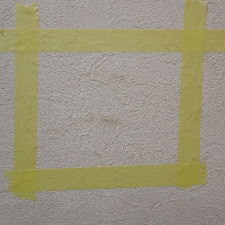 黒ずみ・黄ばみ・手垢汚れがごっそり。「壁紙」の汚れを優しくリセットする掃除術「ゴシゴシしない」