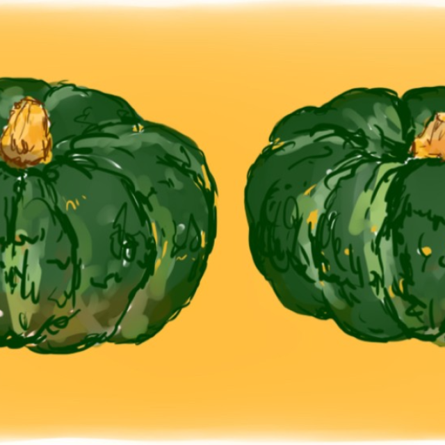  二つ並んだかぼちゃ。皮は緑色でどっしりしている。 