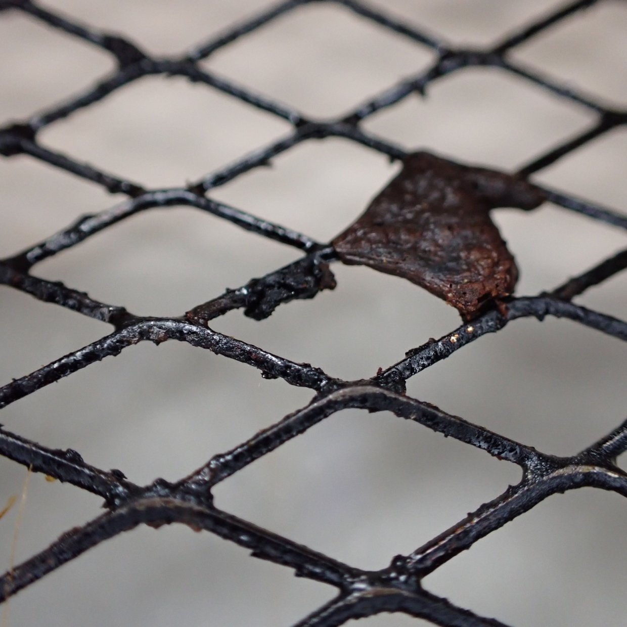 もう力任せにしない!トースターの網に“黒くこびりついた頑固なコゲ”がウソのように落ちる掃除アイテム