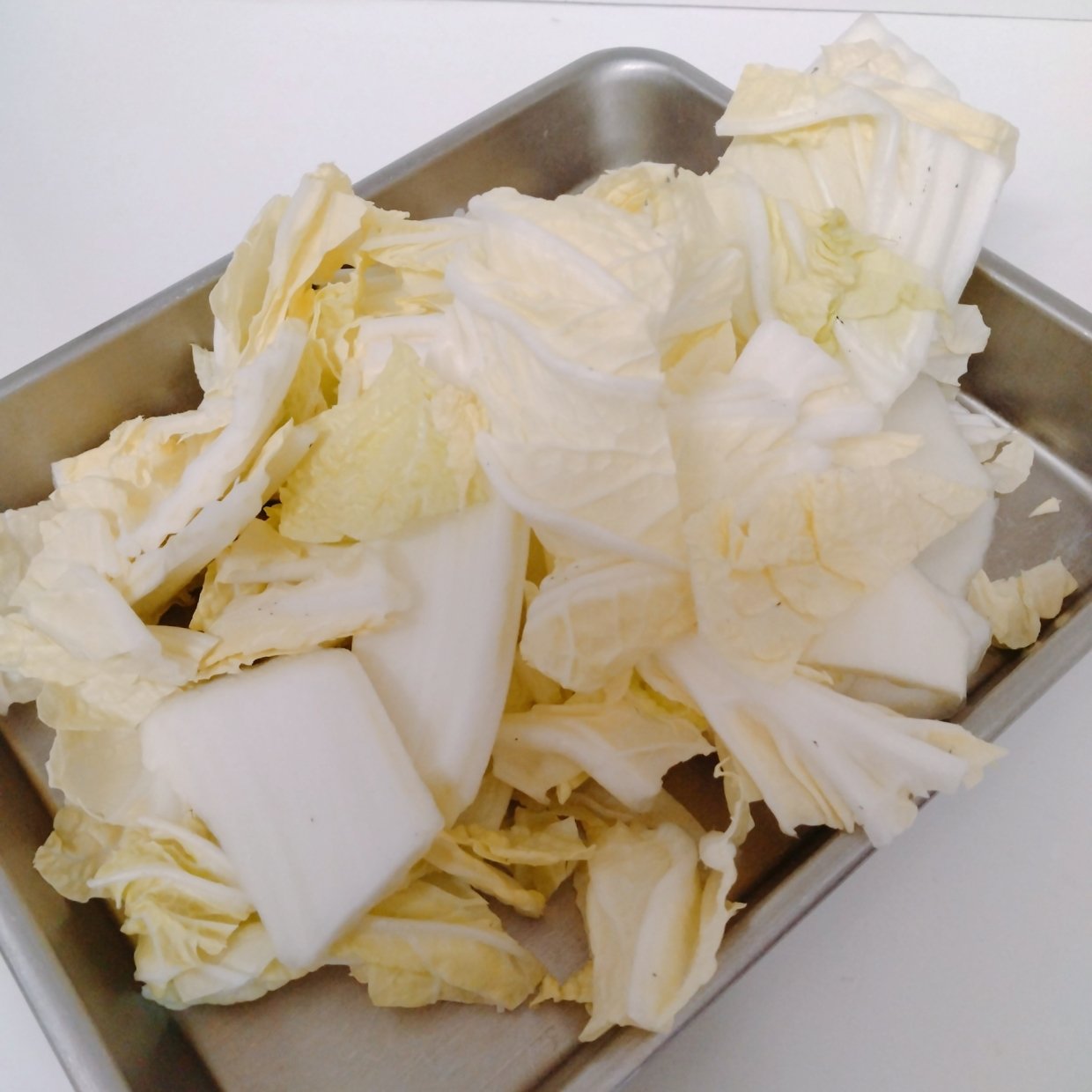  忙しい日の夕食作りが一気にラクになる“鍋冷凍テク”3つのポイント「作り置きより簡単」「マネする！」 