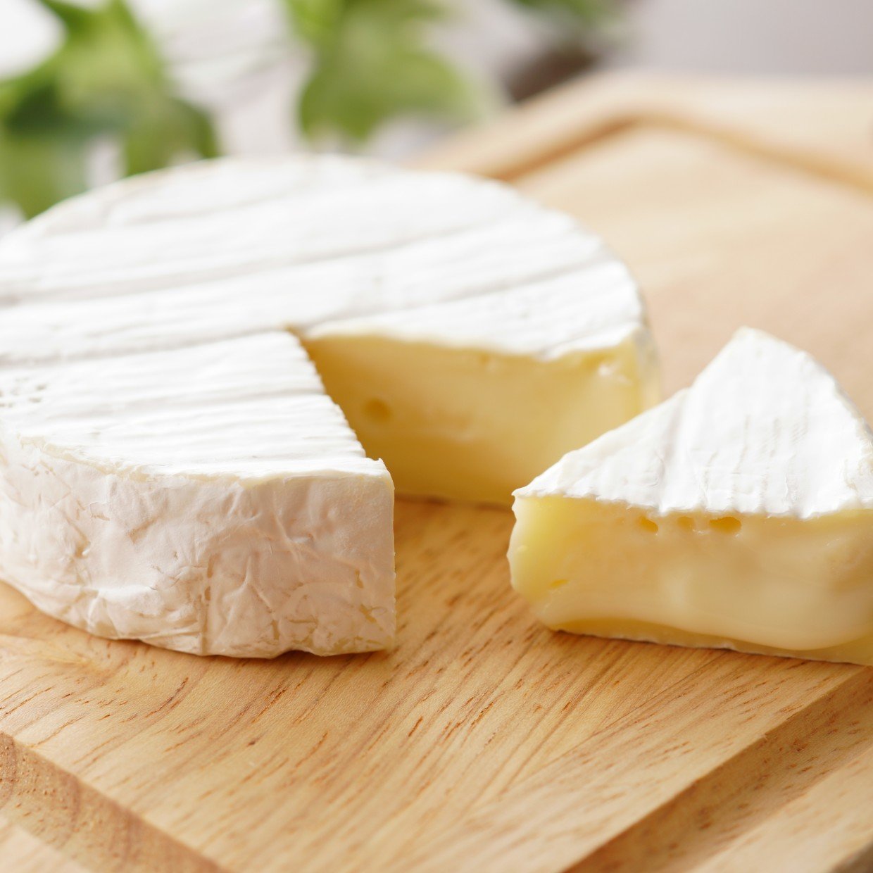  包丁が汚れない！ カマンベールチーズをきれいに切る裏ワザ「ベタつかない」「洗い物ゼロ」 