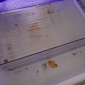 「冷蔵庫」がまるで新品のようによみがえる！“カピカピの食品カスや調味料汚れ”を一掃する年末徹底掃除術