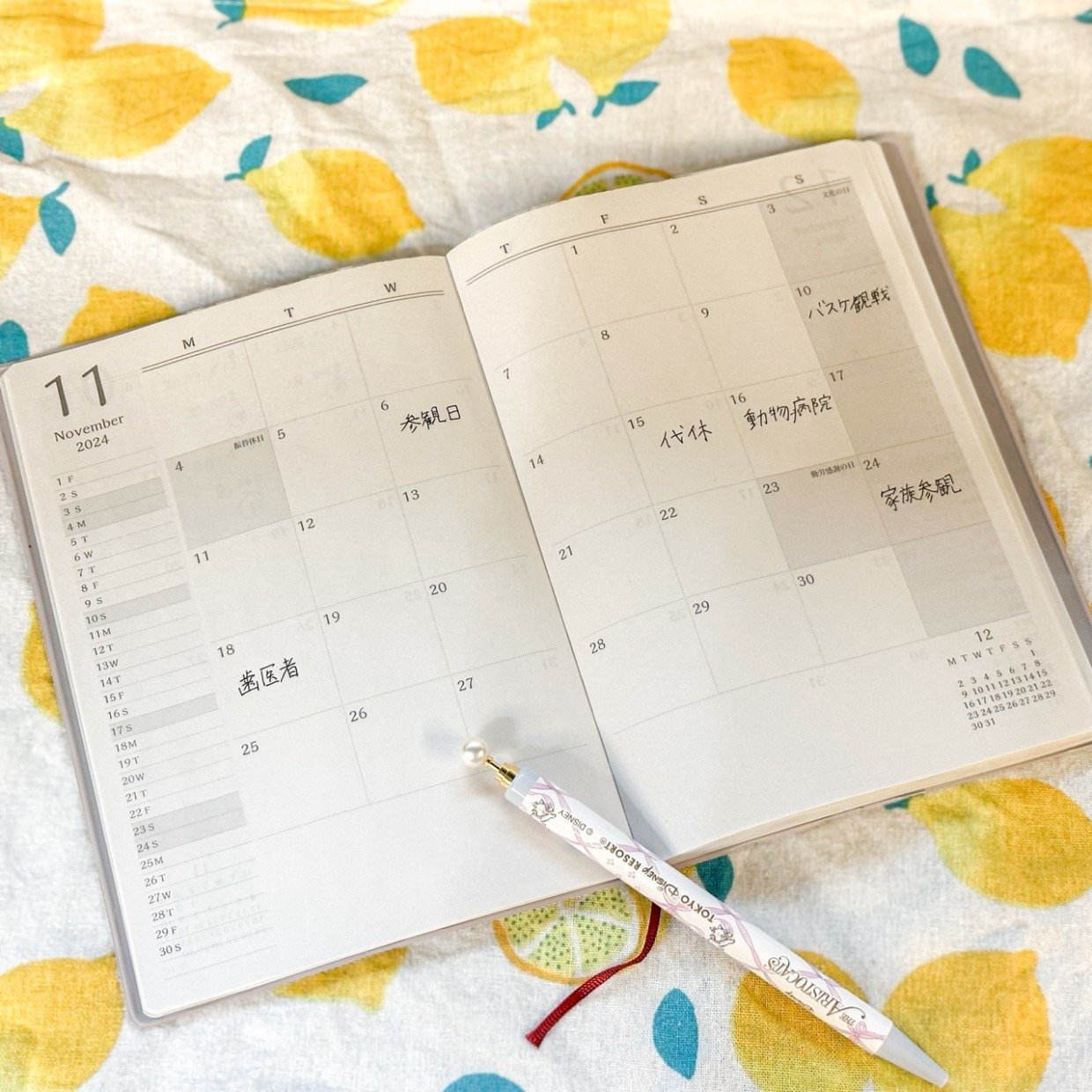  カレンダーより“すっきり”。家族の予定がまとまる「家置き手帳」活用術「年末や2026年の予定管理に」 