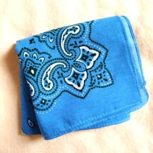 「ティッシュの箱」にバンダナや大判のハンカチ1枚を結ぶだけで…？「実用的でかわいい！」「おしゃれ！」