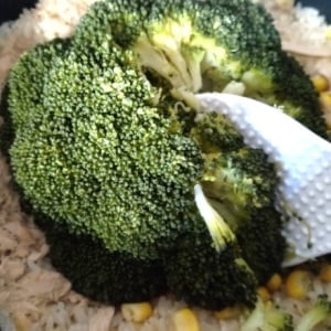 もうマンネリ化しない！「ブロッコリー」の意外過ぎるレシピ「インパクトすごい」「簡単で栄養もたっぷり」