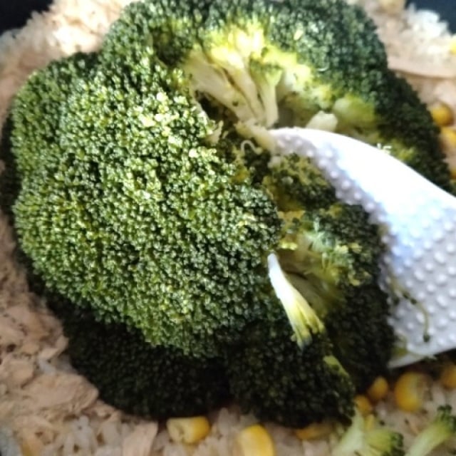  もうマンネリ化しない！「ブロッコリー」の意外過ぎるレシピ「インパクトすごい」「簡単で栄養もたっぷり」 