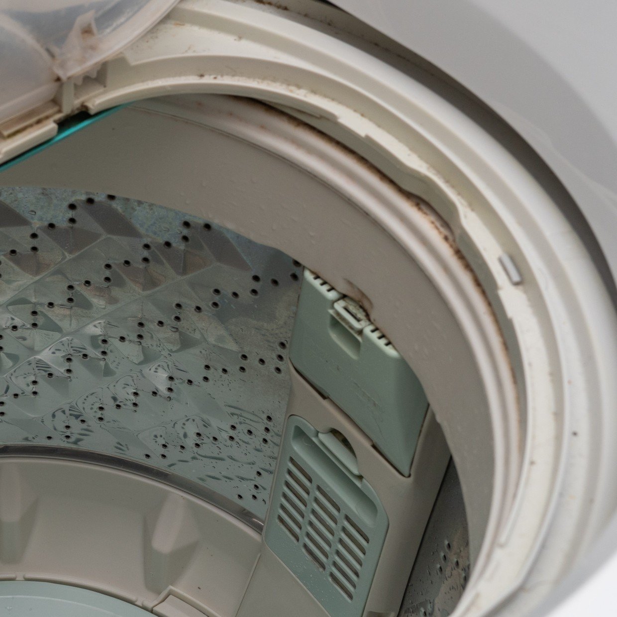  「洗濯機のふち」に蓄積する皮脂や食べカス汚れ…。放置すると起こる“4つのトラブル” 