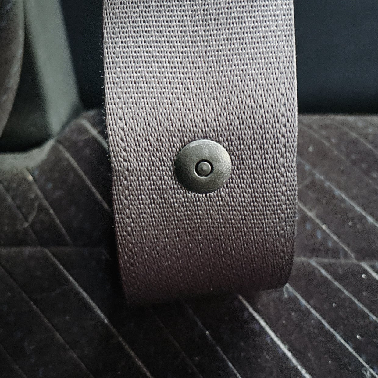  知らなかった。シートベルトにポツンと付いている“黒いボタン”の正体 