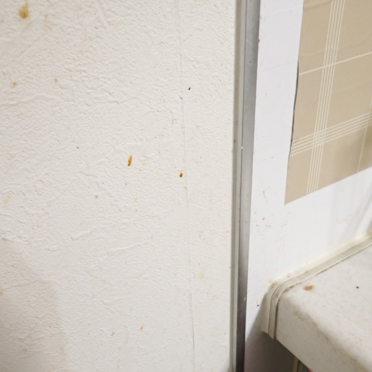  へばりついて固まった“壁紙の油汚れ”を無理なく落とす“やさしい掃除テク”「湿布がカギ」「白くなった」 