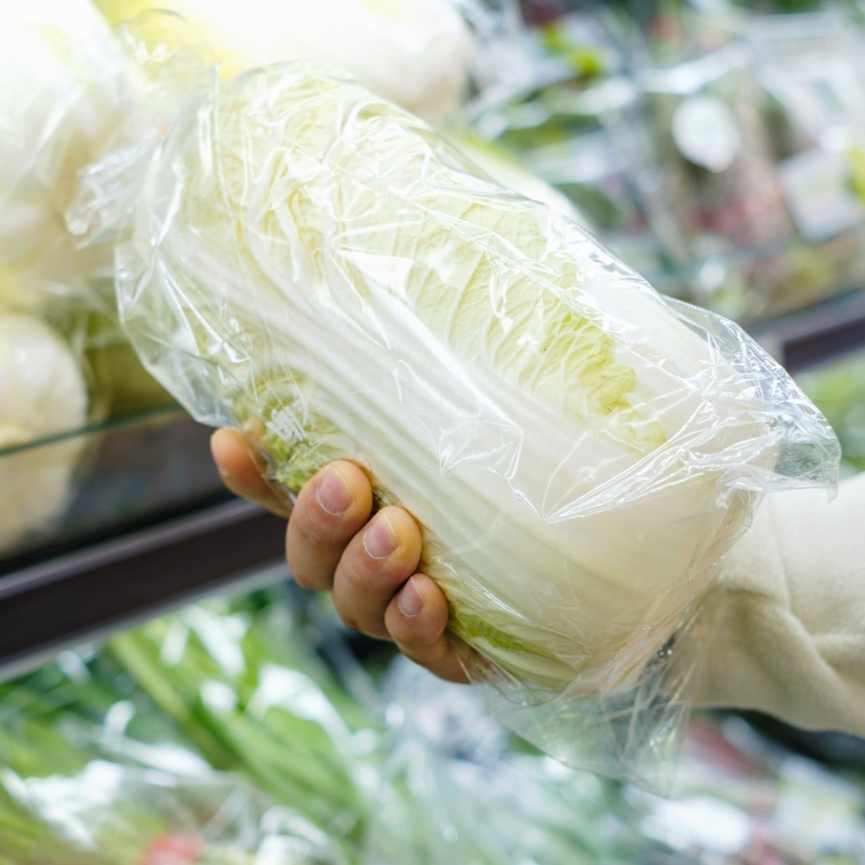  今まで“緑色”のものを選んでた…。失敗しない「白菜」の選び方3つ 