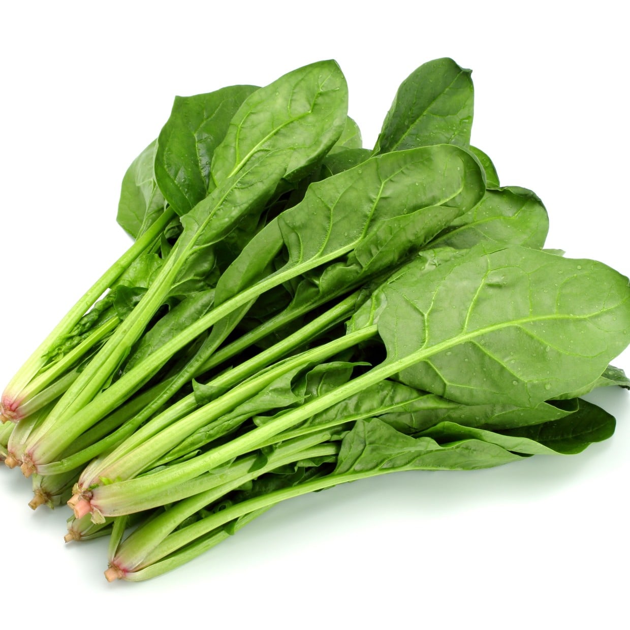  スーパーで失敗しない！「ほうれん草」の“NGな選び方”3つ「適当に選んでた…！」「よく見てから買う」 