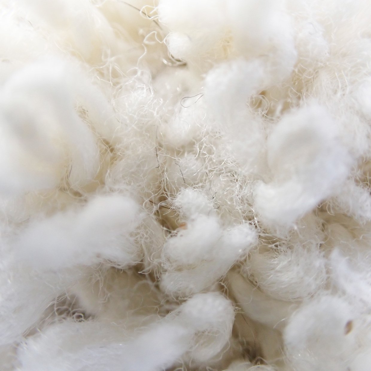  冬の“カーペット”掃除がラクに！掃除機をかけた後でも“面白いほどホコリや毛が取れる”掃除アイテム 