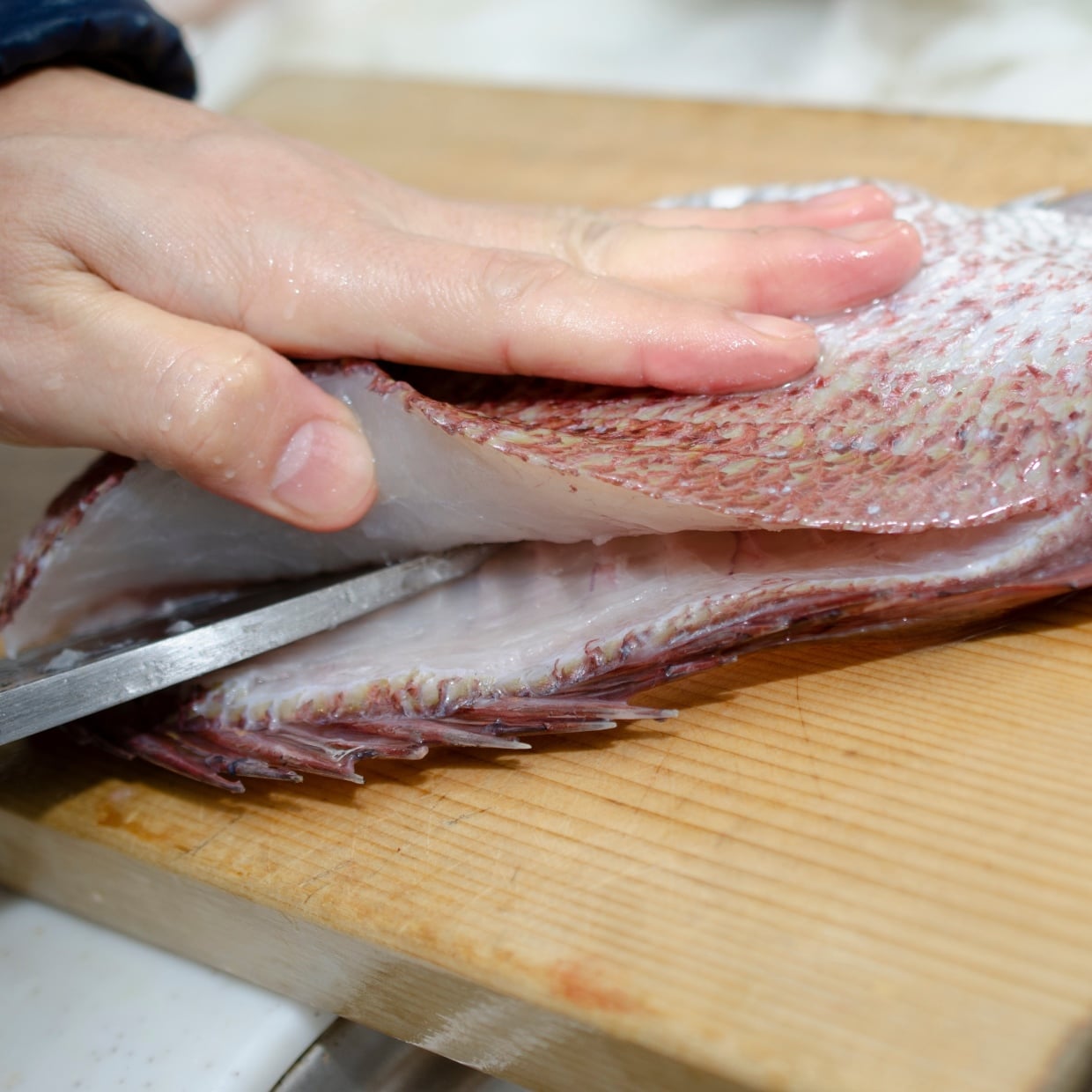  知らなかった。なかなか取れない「魚を触った手の生臭さ」を“身近にあるもの”で緩和する裏ワザ 