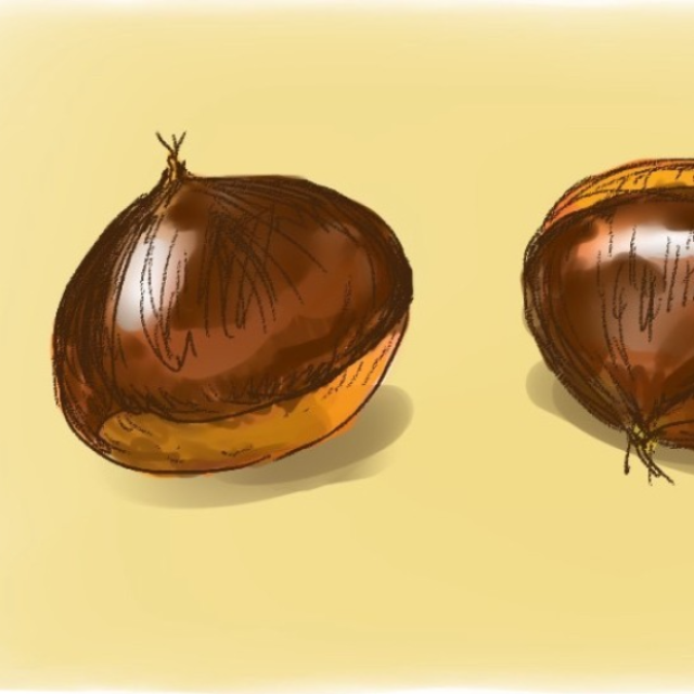  真ん中に栗一粒。その隣に半分だけ見えている栗。 