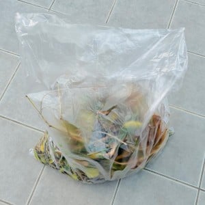 まさに今困ってた！「落ち葉」が“ゴミ袋に入れやすくなる”目からウロコの秋の裏ワザ「袋が自立する」