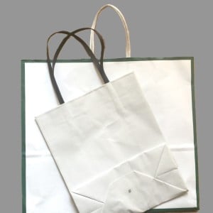 捨てられない「紙袋」が“家じゅうで役立つ”便利アイテムに変身！「もうわざわざ買わない」「使える！」