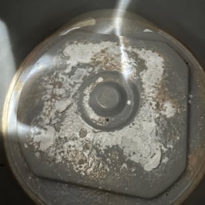 頑固なカリカリが取れた！カッチカチに固まった「加湿器」の“白い汚れ”をスルスル落とす掃除のプロの技