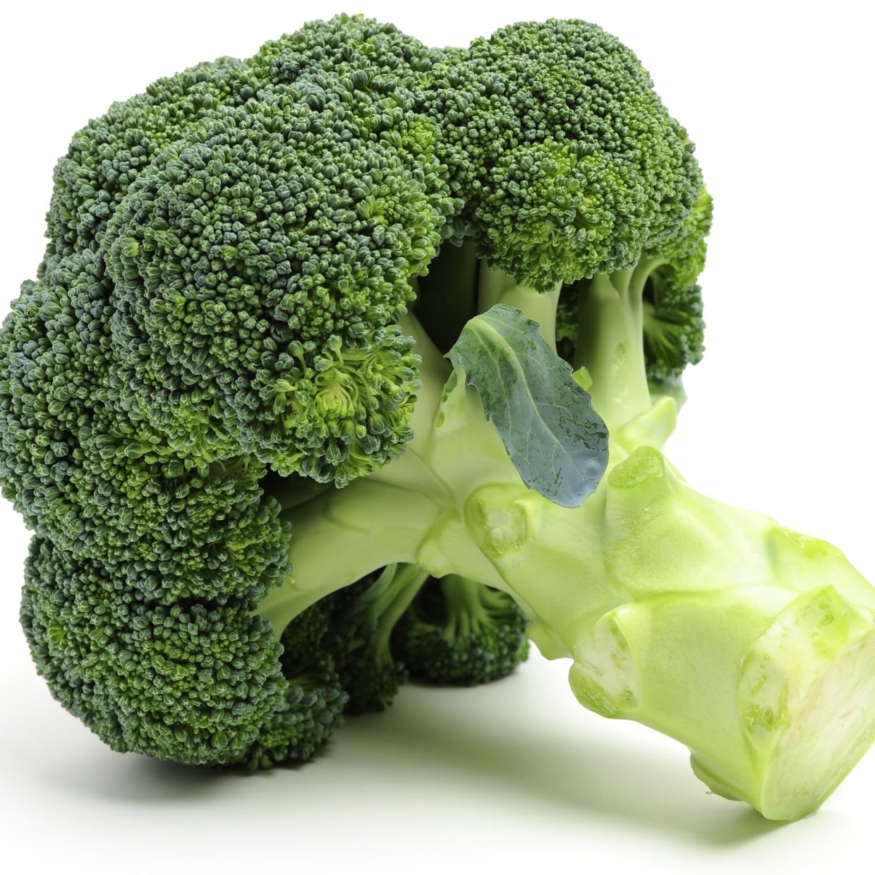  知らなかった。風味や食感が劣化した「ブロッコリー」の特徴 