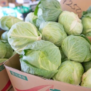 知らなかった。甘くておいしい“冬キャベツ”を選ぶコツとNGな見極め方「冬と春で違うんだ」