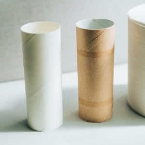 捨てるはずだった「トイレットペーパーの芯」の意外な使い道「クリスマスにいい！」「かわいい」