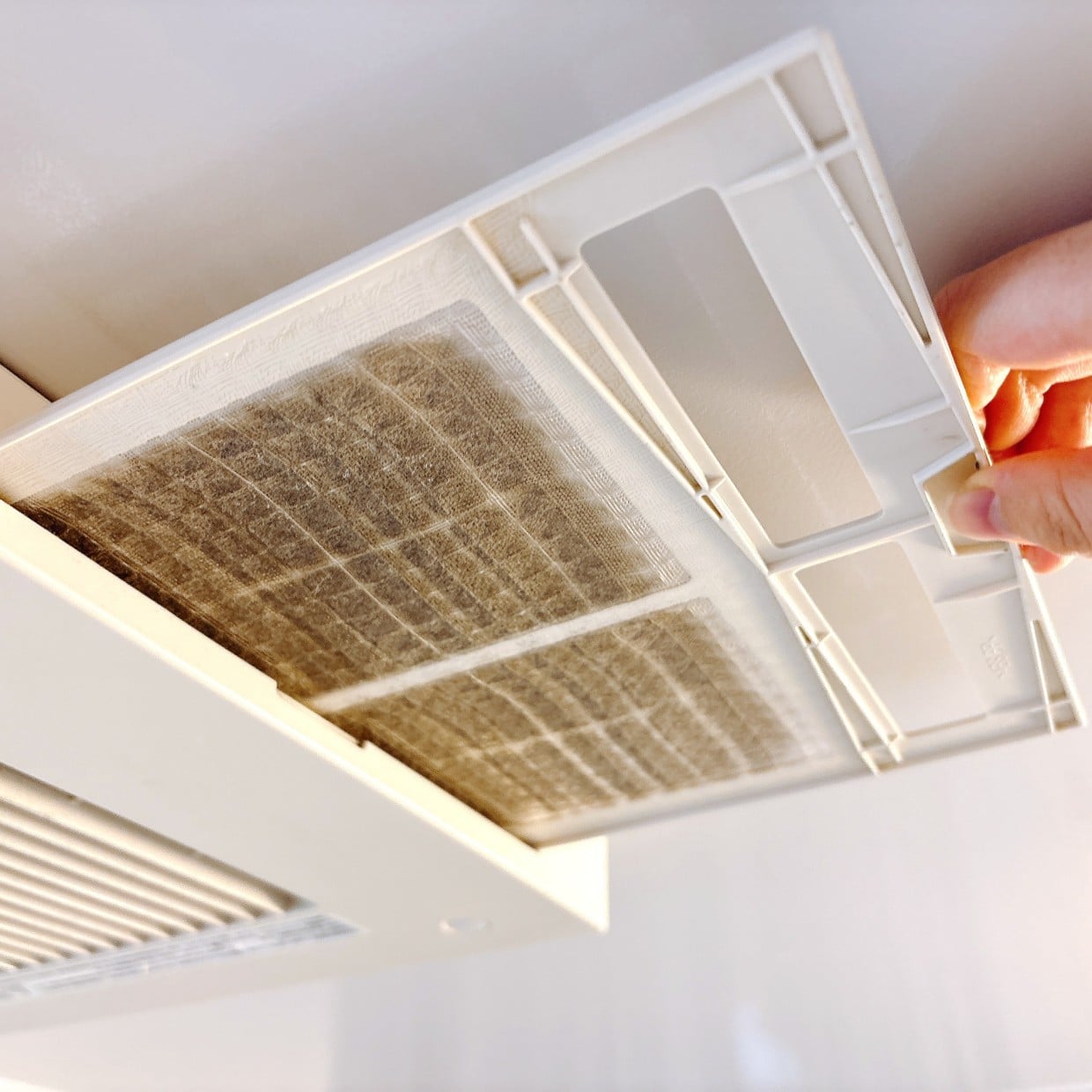  洗剤は使わない！「浴室乾燥フィルター」の“ホコリをごっそり落とす”簡単掃除手順「年末の大掃除に」 