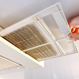 洗剤は使わない！「浴室乾燥フィルター」の“ホコリをごっそり落とす”簡単掃除手順「年末の大掃除に」