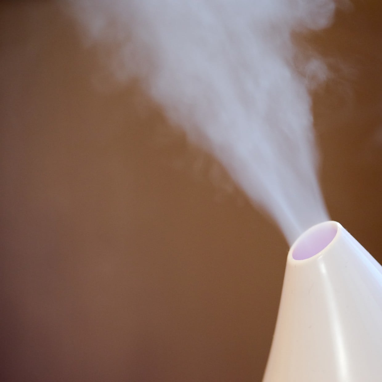  知らなかった。家の見えない場所が劣化する「加湿器」の“NGな使い方” 