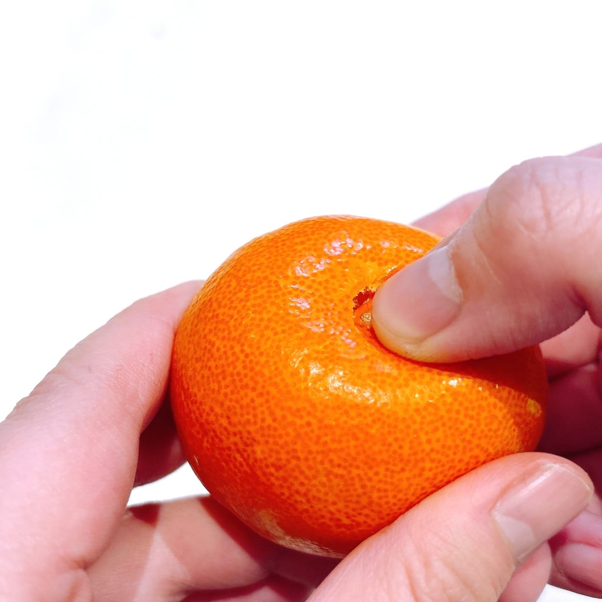  「みかんの白い筋」が取れやすくなる画期的な“むき方”「すごい！」「手を汚さず食べられる！」 