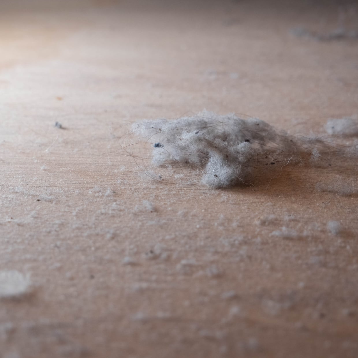  ホコリの塊でてきそう…。ホコリがごっそり溜まりやすい“隠れポイント5つ”＆洗剤不要のかんたん掃除術 