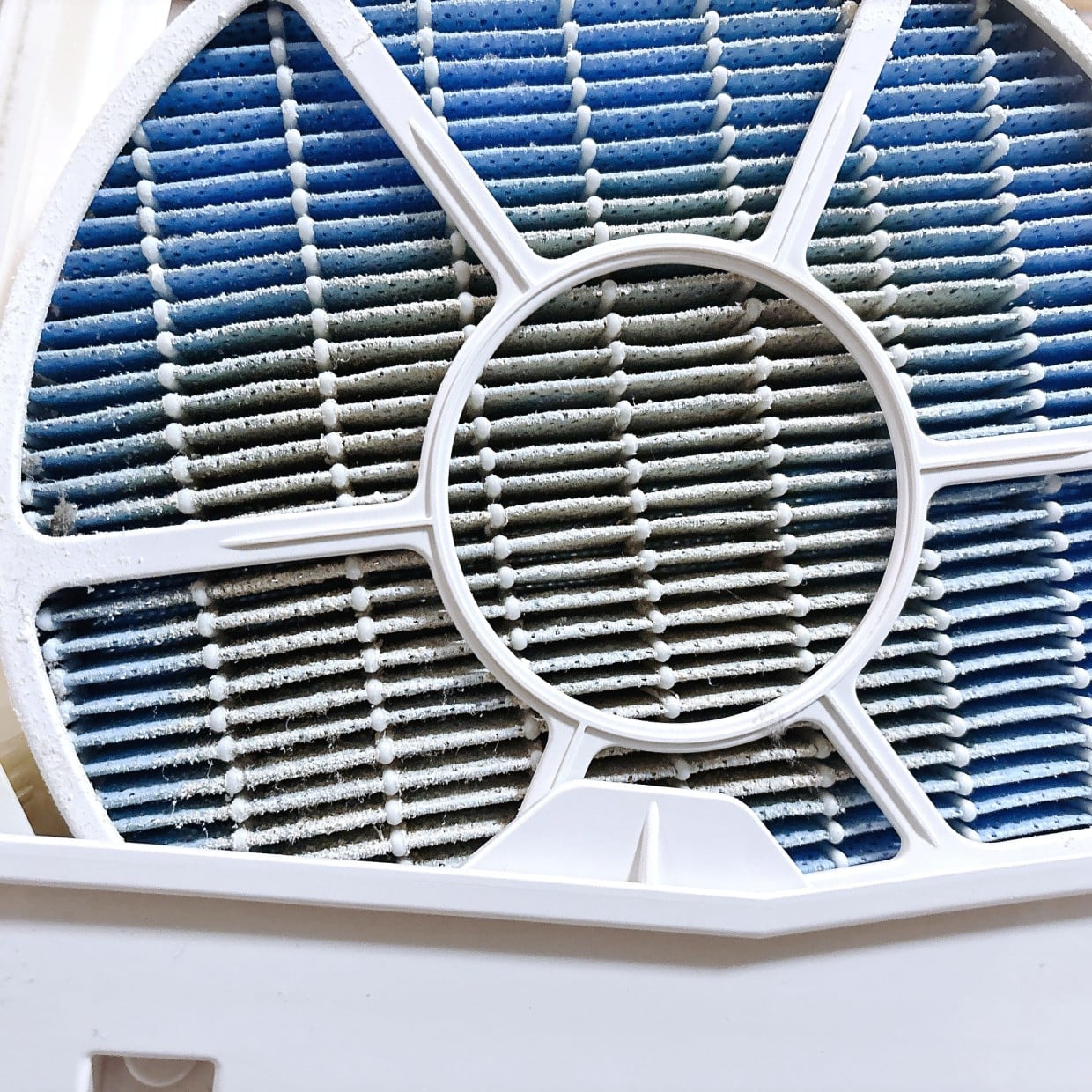  知らなかった。「加湿器フィルター」の“白い汚れ”の正体と交換サイン 