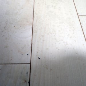 水拭きだけで落ちない「フローリング」の“茶色い点々”をごっそり取る掃除術「すごい汚れ」「すっきり」